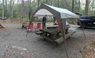 Katy S.'s photo at Davidson River Campground near Horse Shoe, NC