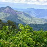 Review photo of Davidson River Campground by Katy S., July 6, 2020