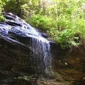 Review photo of Davidson River Campground by Katy S., July 6, 2020