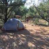 Review photo of Mather Campground — Grand Canyon National Park by Katy S., July 6, 2020