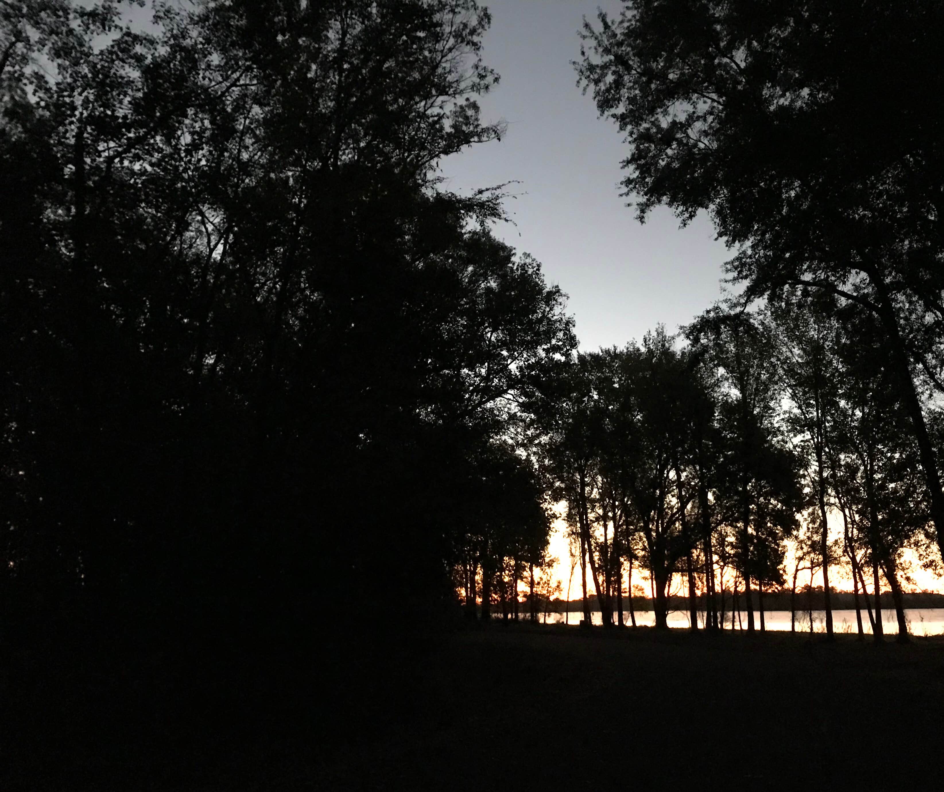 Camper submitted image from Martin Creek Lake State Park Campground - 2