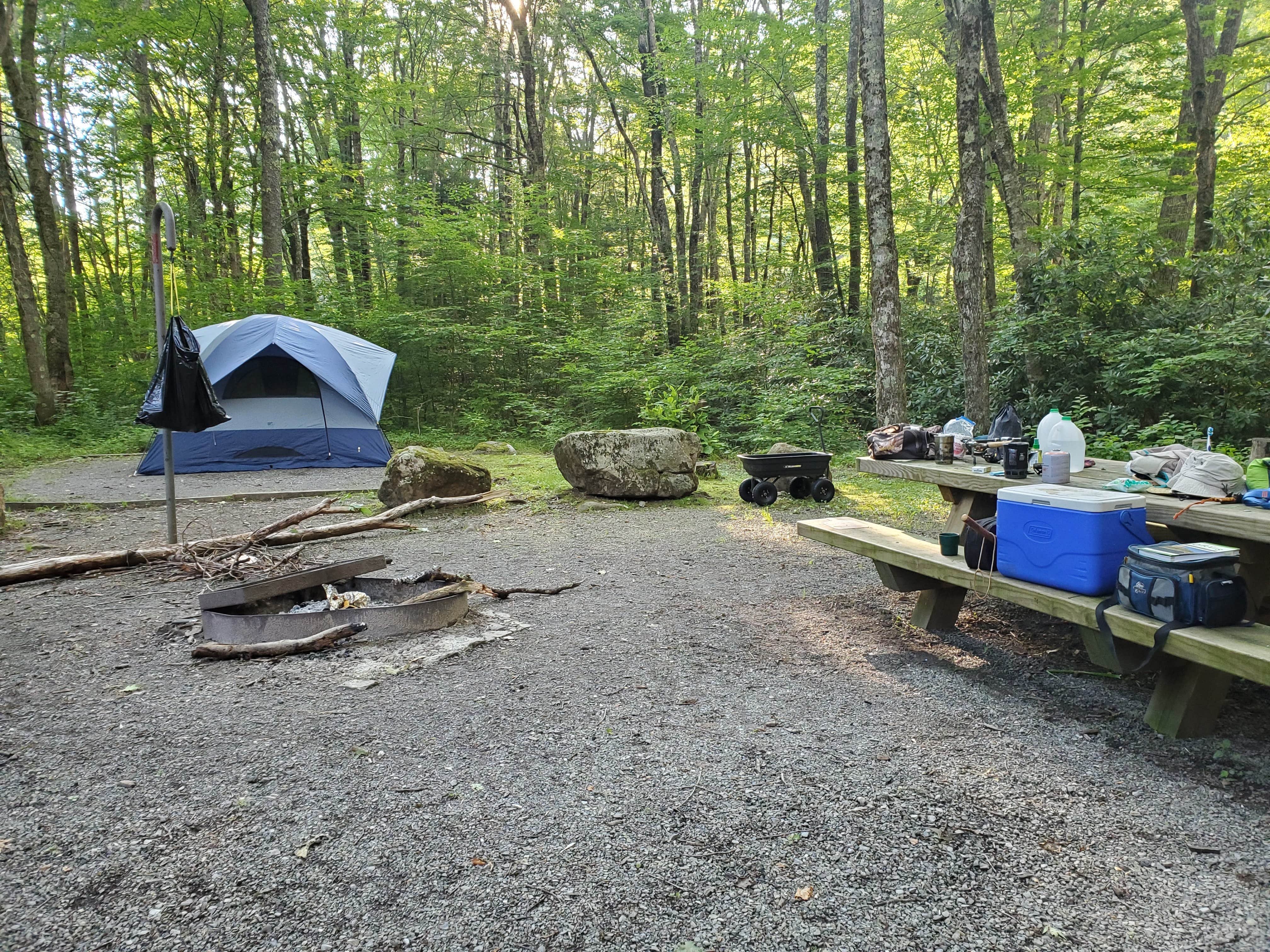 Camper submitted image from Tea Creek Campground - 2