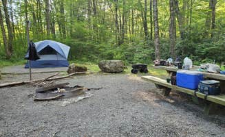 Sam G.'s photo at Tea Creek Campground near Hillsboro, WV