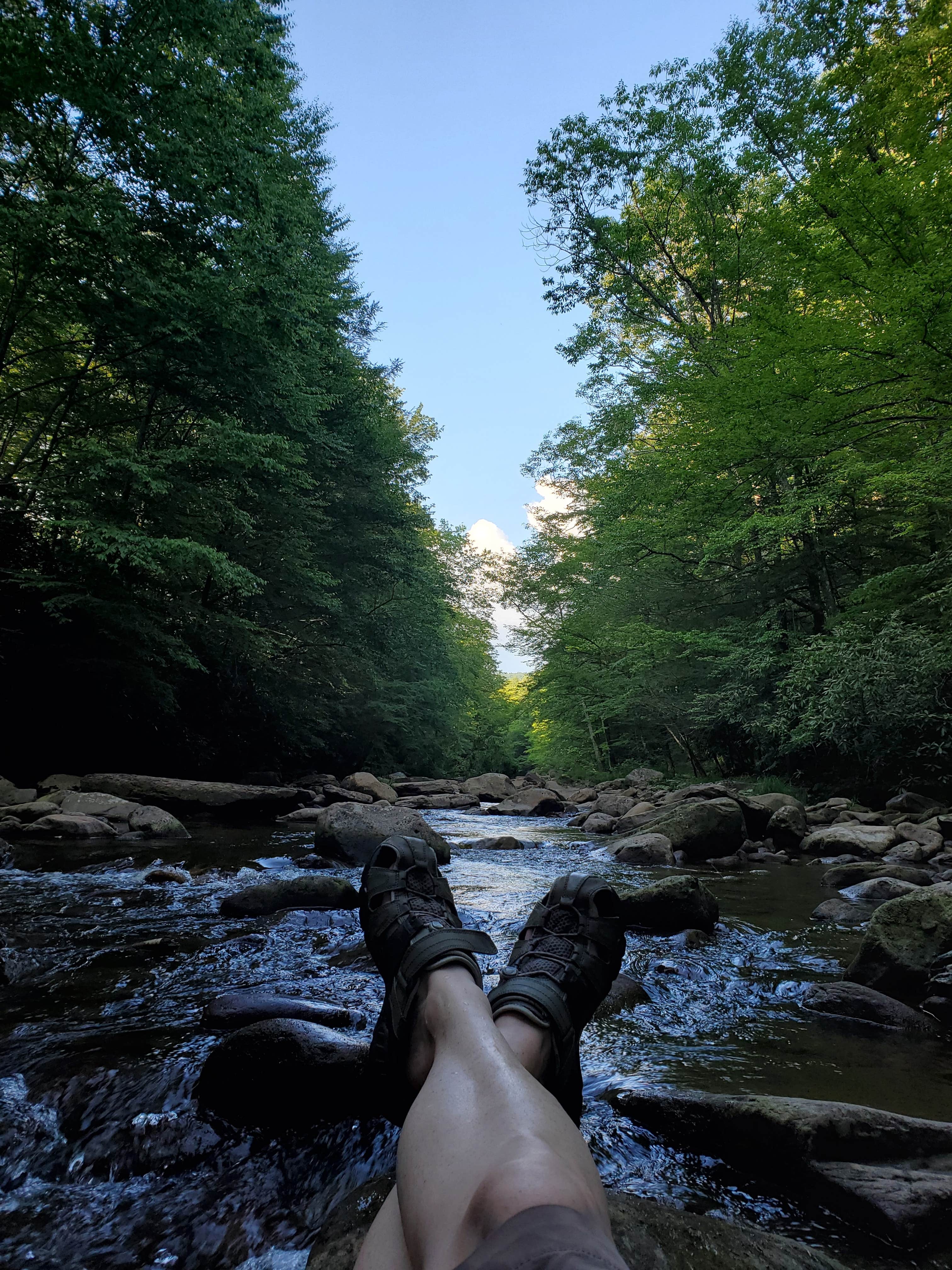 Camper-submitted photo at Tea Creek Campground near Snowshoe, WV