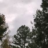 Review photo of Martin Creek Lake State Park Campground by Chris B., December 14, 2017
