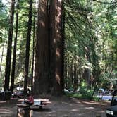 Review photo of Burlington Campground — Humboldt Redwoods State Park by Gustavo M., July 6, 2020