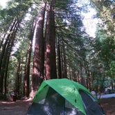 Review photo of Burlington - Humboldt Redwoods State Park by Gustavo M., July 6, 2020