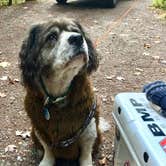 Review photo of North-South Lake Campground by Mele T., December 17, 2017