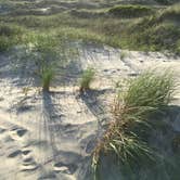 Review photo of Oregon Inlet Campground — Cape Hatteras National Seashore by Katy S., July 6, 2020