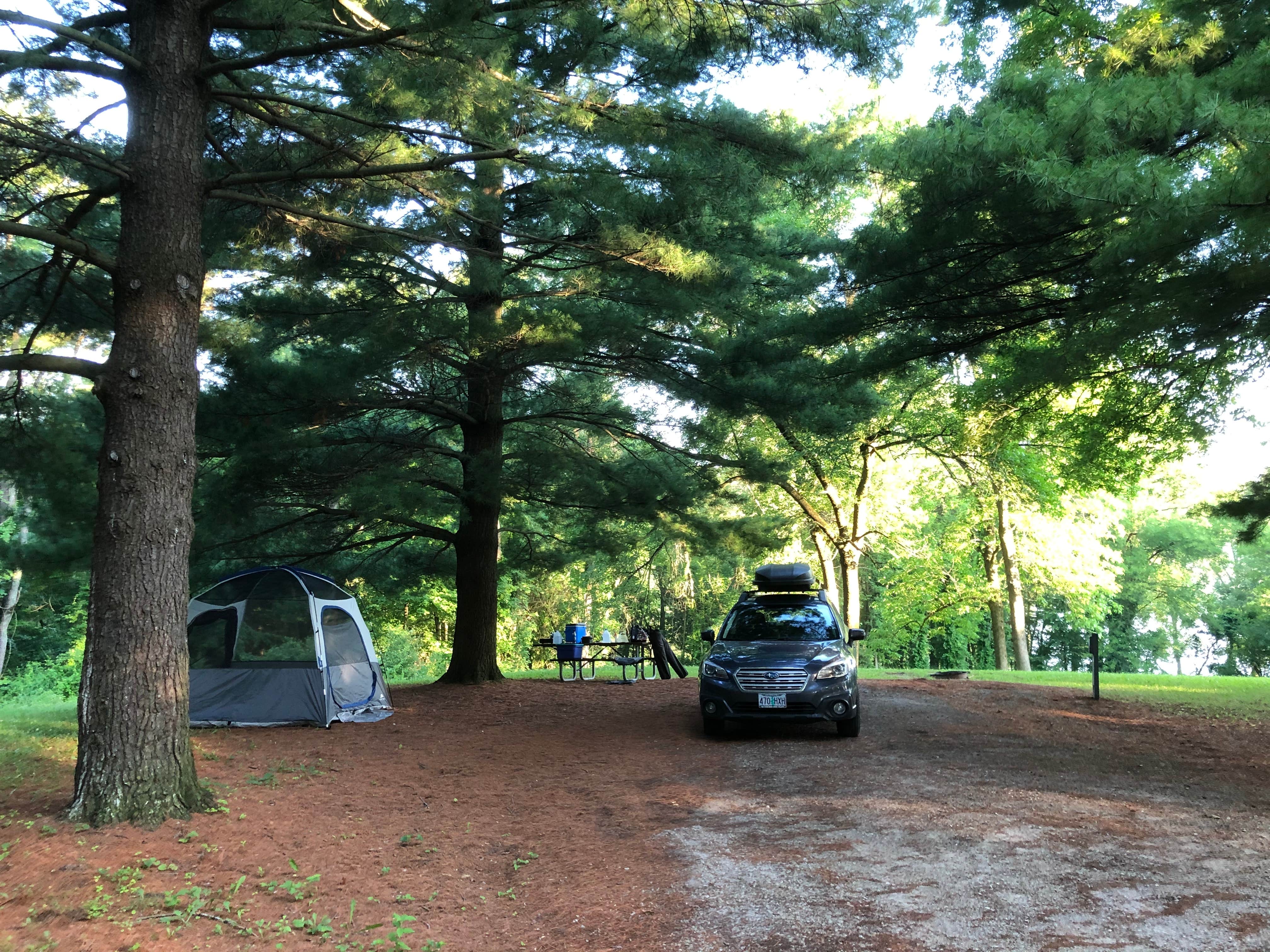 Thomas B.'s photo at West Overlook Campground near Homestead, IA