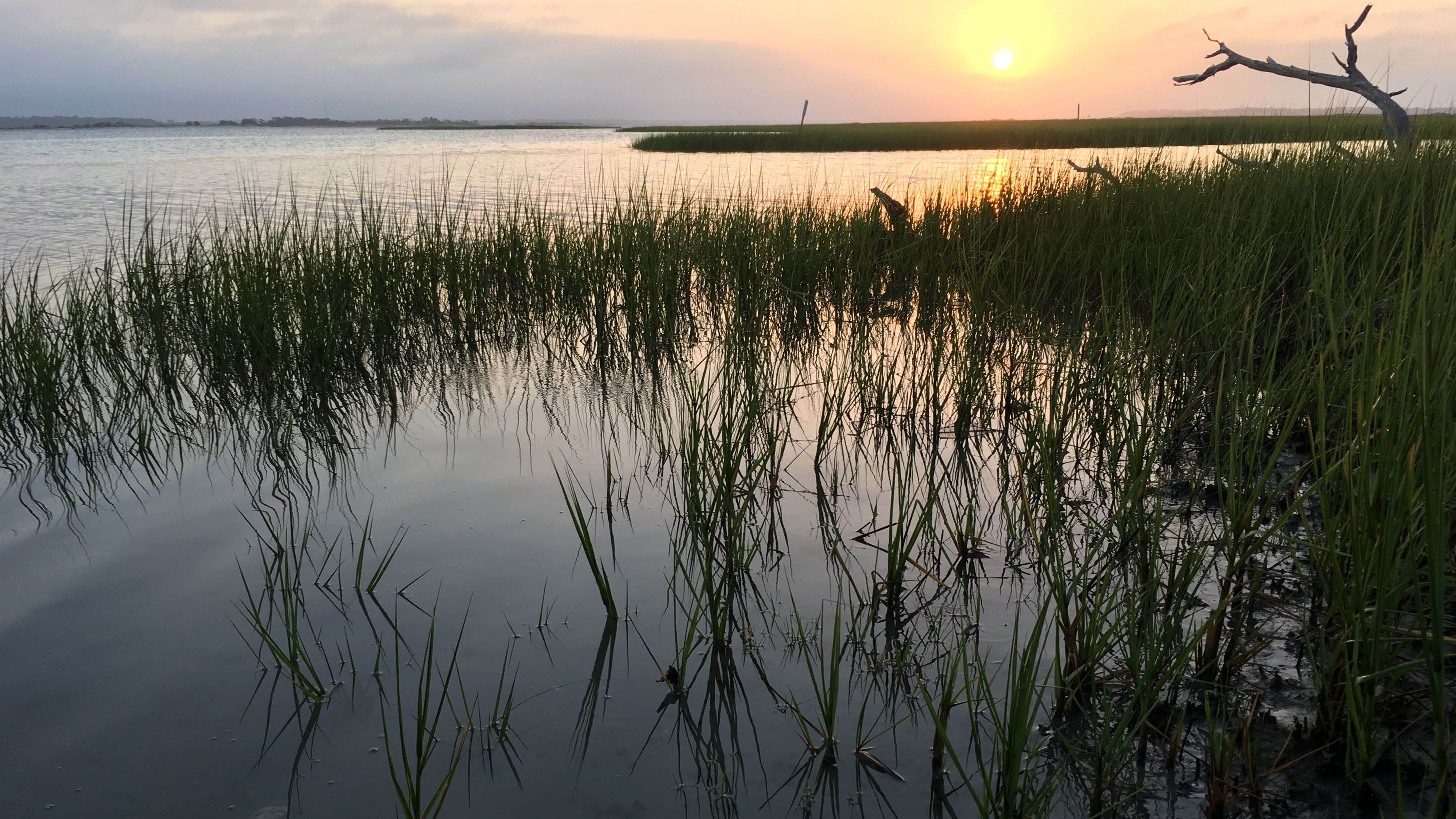 Hammocks Beach State Park The Dyrt