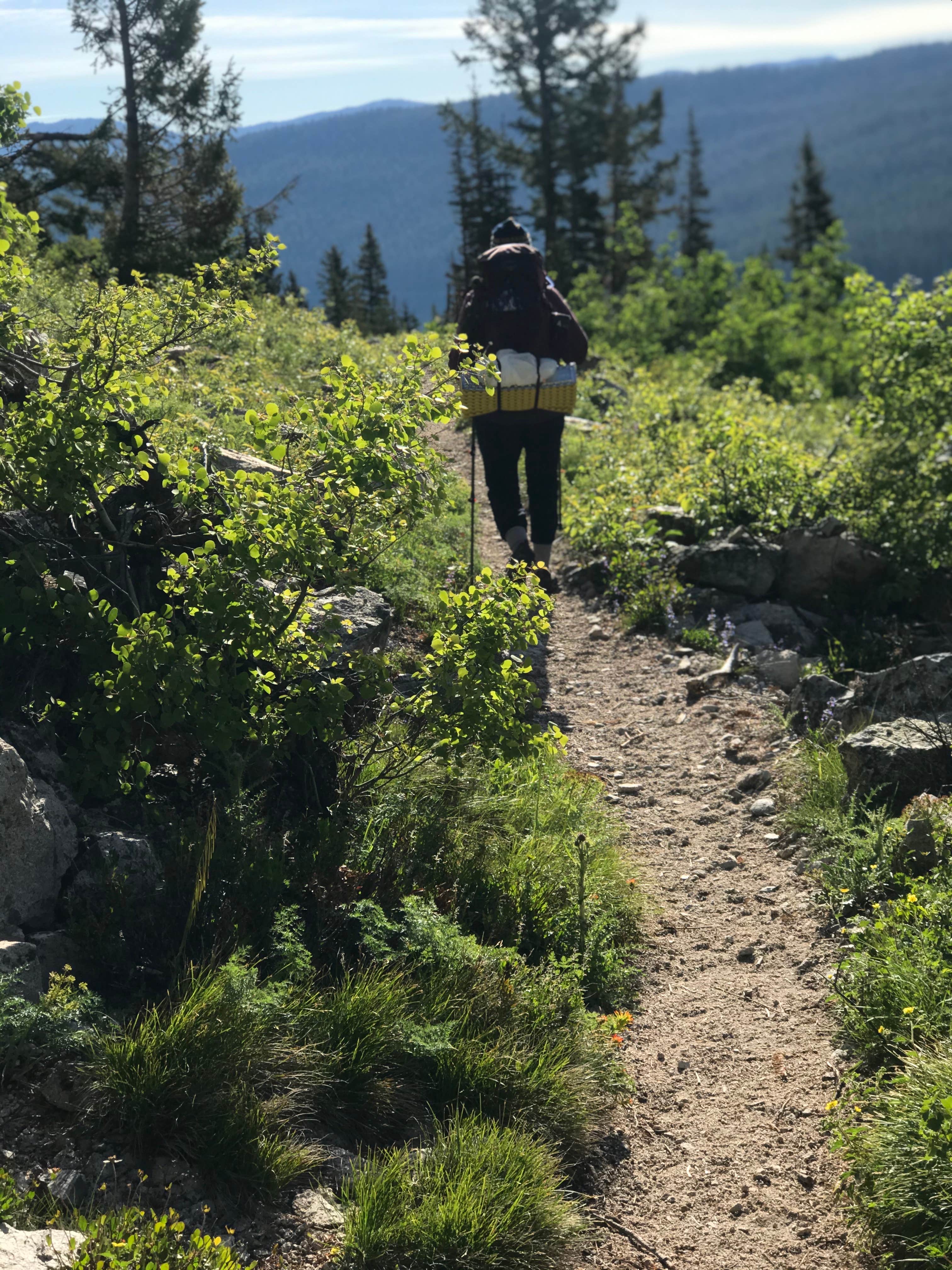Camper-submitted photo at Alpine Lake near Stanley, ID