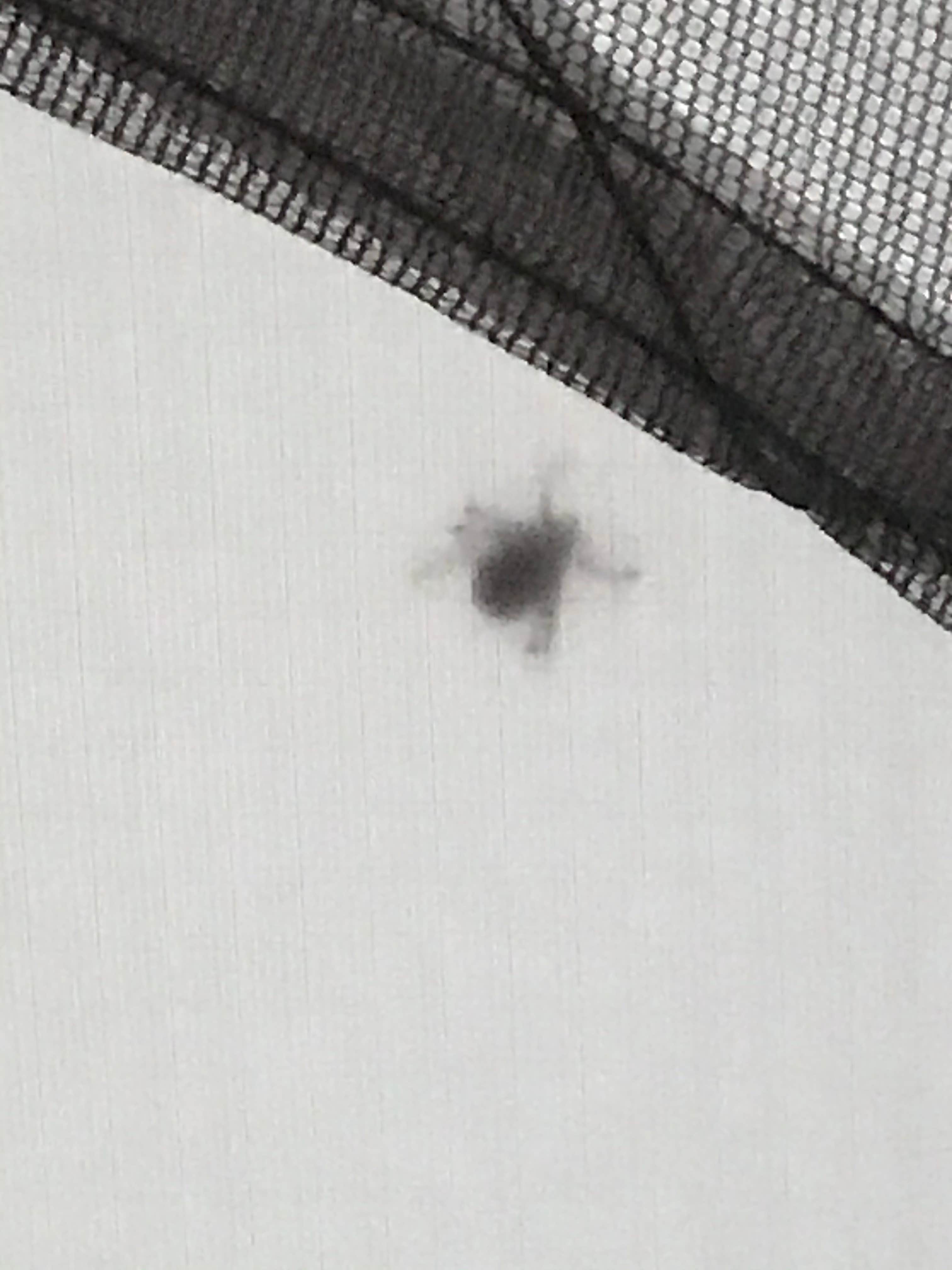 Camper-submitted photo at Redfish Inlet Trailhead near Stanley, ID