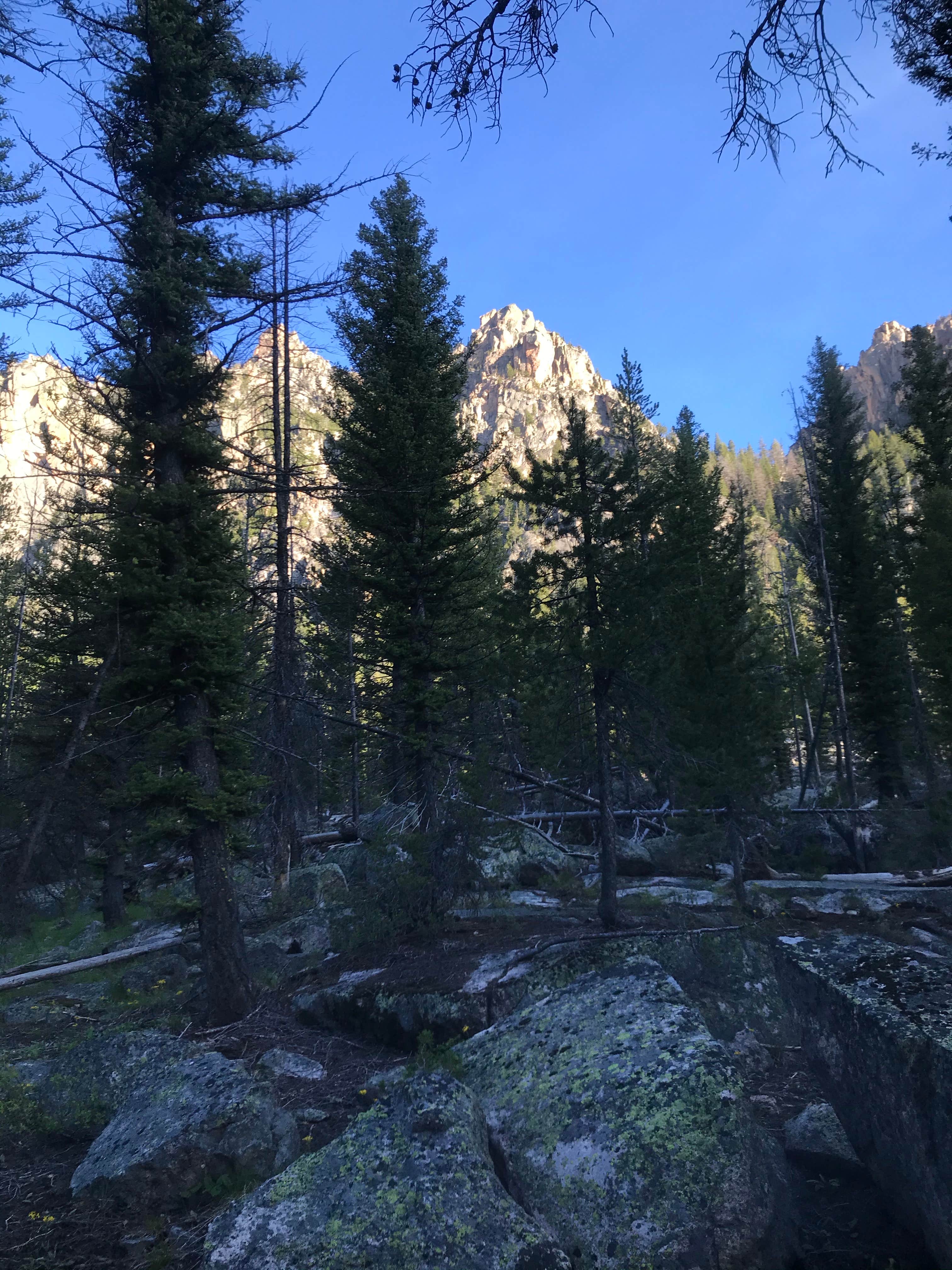 Camper-submitted photo at Redfish Inlet Trailhead near Stanley, ID
