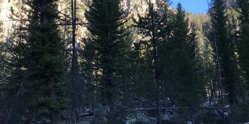 Camper submitted image from Redfish Inlet Trailhead