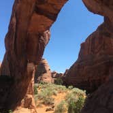 Review photo of Devils Garden Campground — Arches National Park by Rachel A., July 6, 2020
