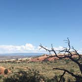 Review photo of Devils Garden Campground — Arches National Park by Rachel A., July 6, 2020