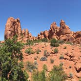 Review photo of Devils Garden Campground — Arches National Park by Rachel A., July 6, 2020