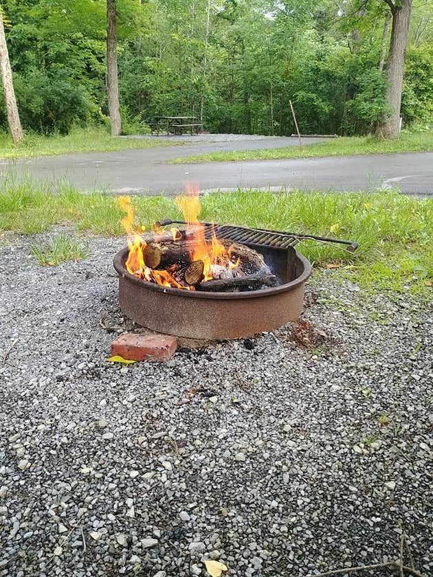 Prince Gallitzin State Park Crooked Run Campground Camping The Dyrt