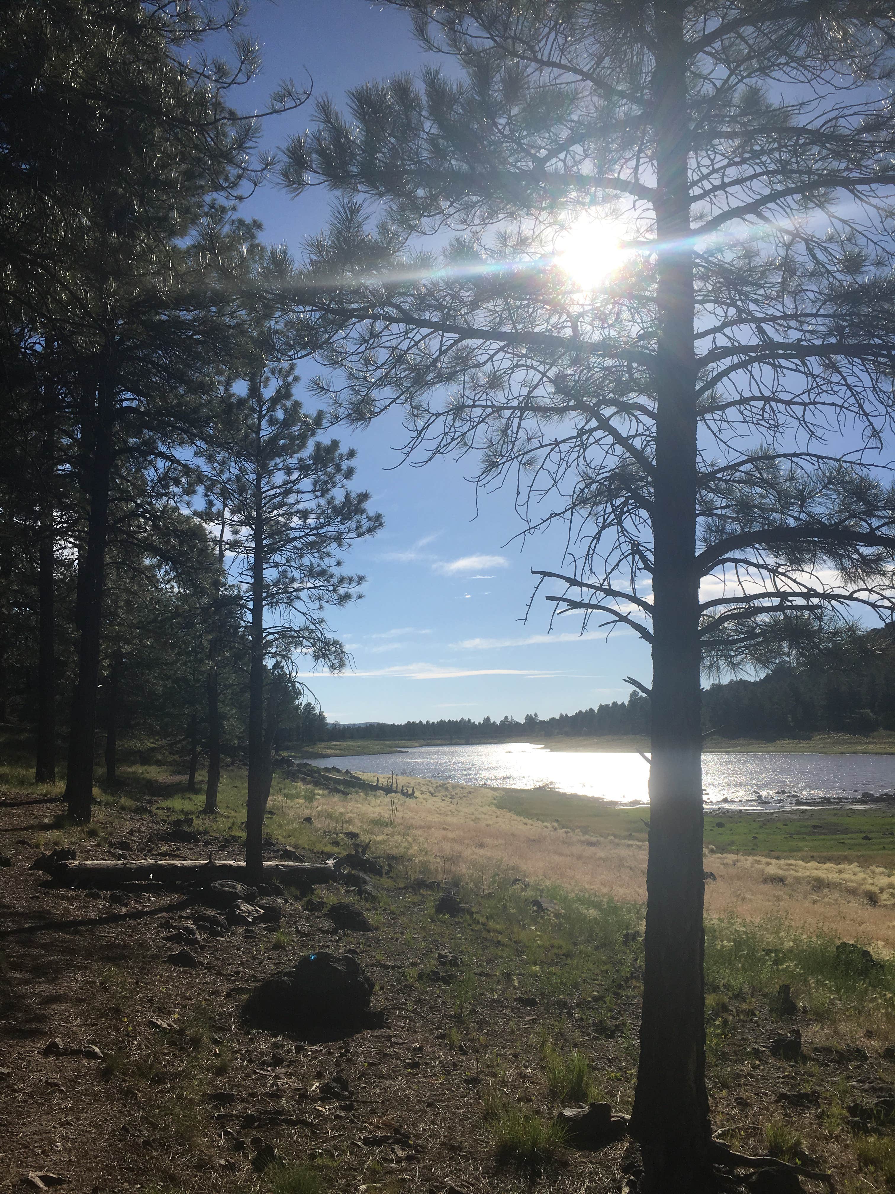 Camper-submitted photo at Dollar Lake Campsites near Roosevelt, UT