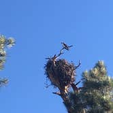 Review photo of Kaibab National Forest Kaibab Lake Campground by Rachel A., July 6, 2020