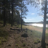 Review photo of Kaibab National Forest Kaibab Lake Campground by Rachel A., July 6, 2020