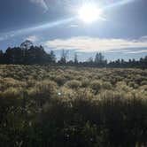 Review photo of Kaibab National Forest Kaibab Lake Campground by Rachel A., July 6, 2020