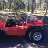 Review photo of Kaibab National Forest Kaibab Lake Campground by Rachel A., July 6, 2020