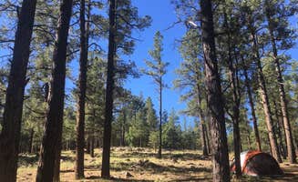 Rachel A.'s photo at Kaibab National Forest Kaibab Lake Campground in Arizona