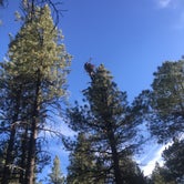 Review photo of Kaibab National Forest Kaibab Lake Campground by Rachel A., July 6, 2020