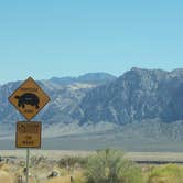 Review photo of Red Rock Canyon National Conservation Area - Red Rock Campground by Rachel A., July 6, 2020