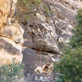 Review photo of Red Rock Canyon National Conservation Area - Red Rock Campground by Rachel A., July 6, 2020