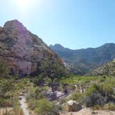 Review photo of Red Rock Canyon National Conservation Area - Red Rock Campground by Rachel A., July 6, 2020