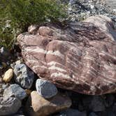 Review photo of Red Rock Canyon National Conservation Area - Red Rock Campground by Rachel A., July 6, 2020