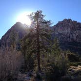 Review photo of Red Rock Canyon National Conservation Area - Red Rock Campground by Rachel A., July 6, 2020