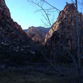 Review photo of Red Rock Canyon National Conservation Area - Red Rock Campground by Rachel A., July 6, 2020