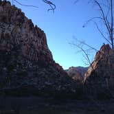 Review photo of Red Rock Canyon National Conservation Area - Red Rock Campground by Rachel A., July 6, 2020