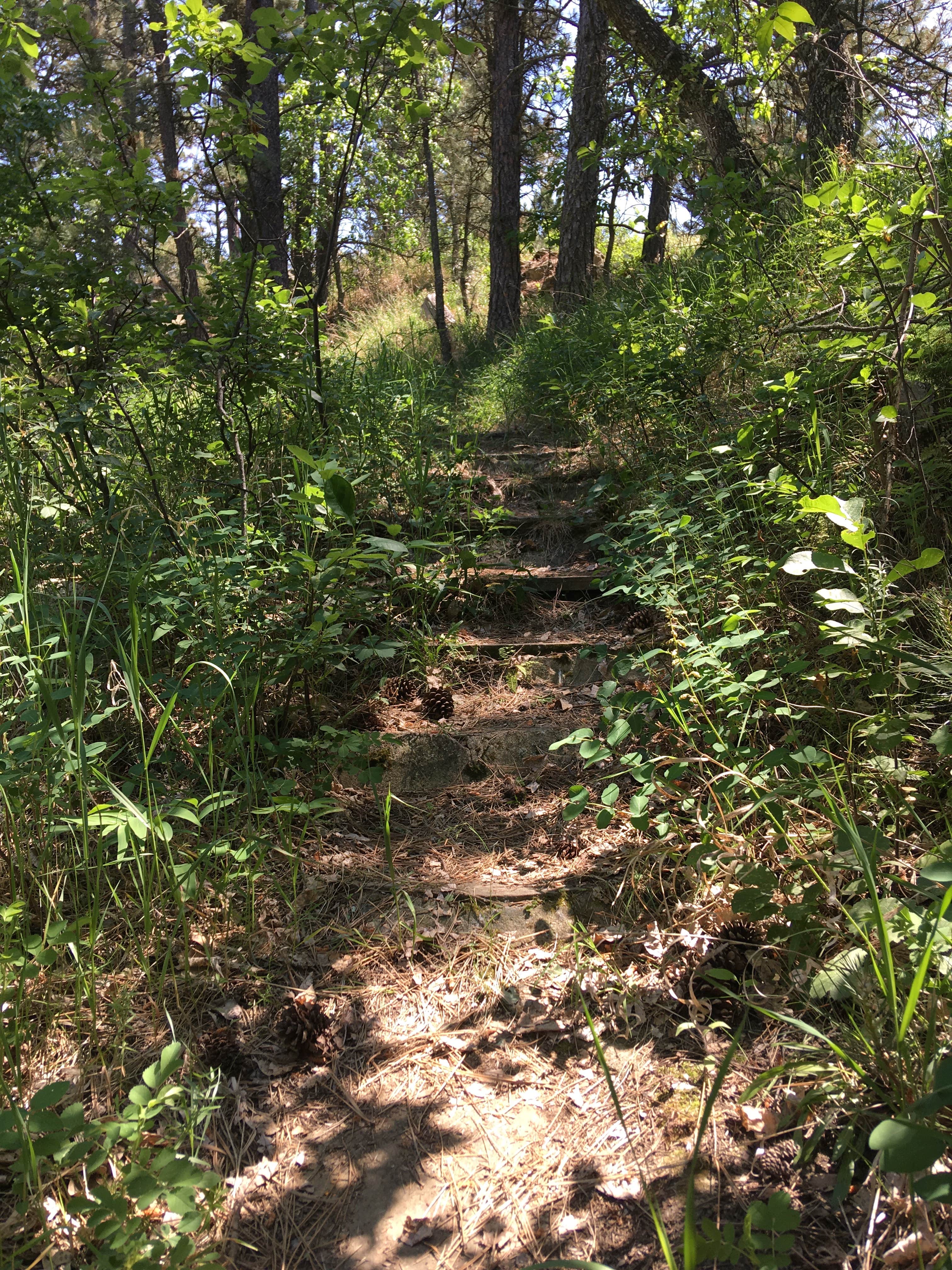 Camper-submitted photo at Picnic Spring Campground near Hettinger, ND