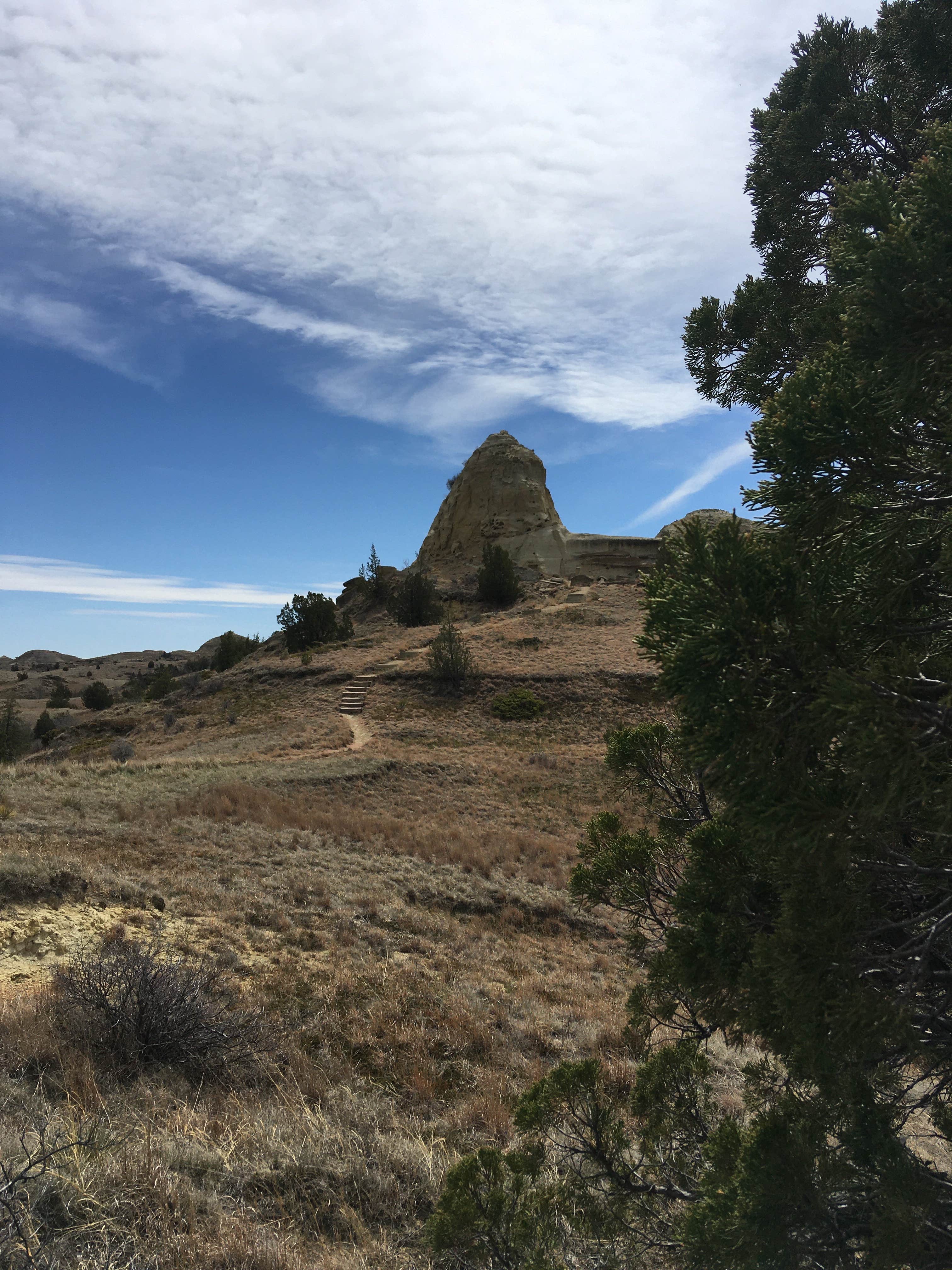 Camper submitted image from Burning Coal Vein Campground - 3