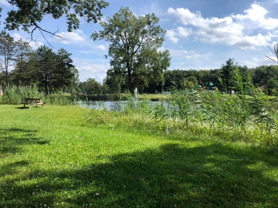Camper submitted image from Wilderness Campground - 3
