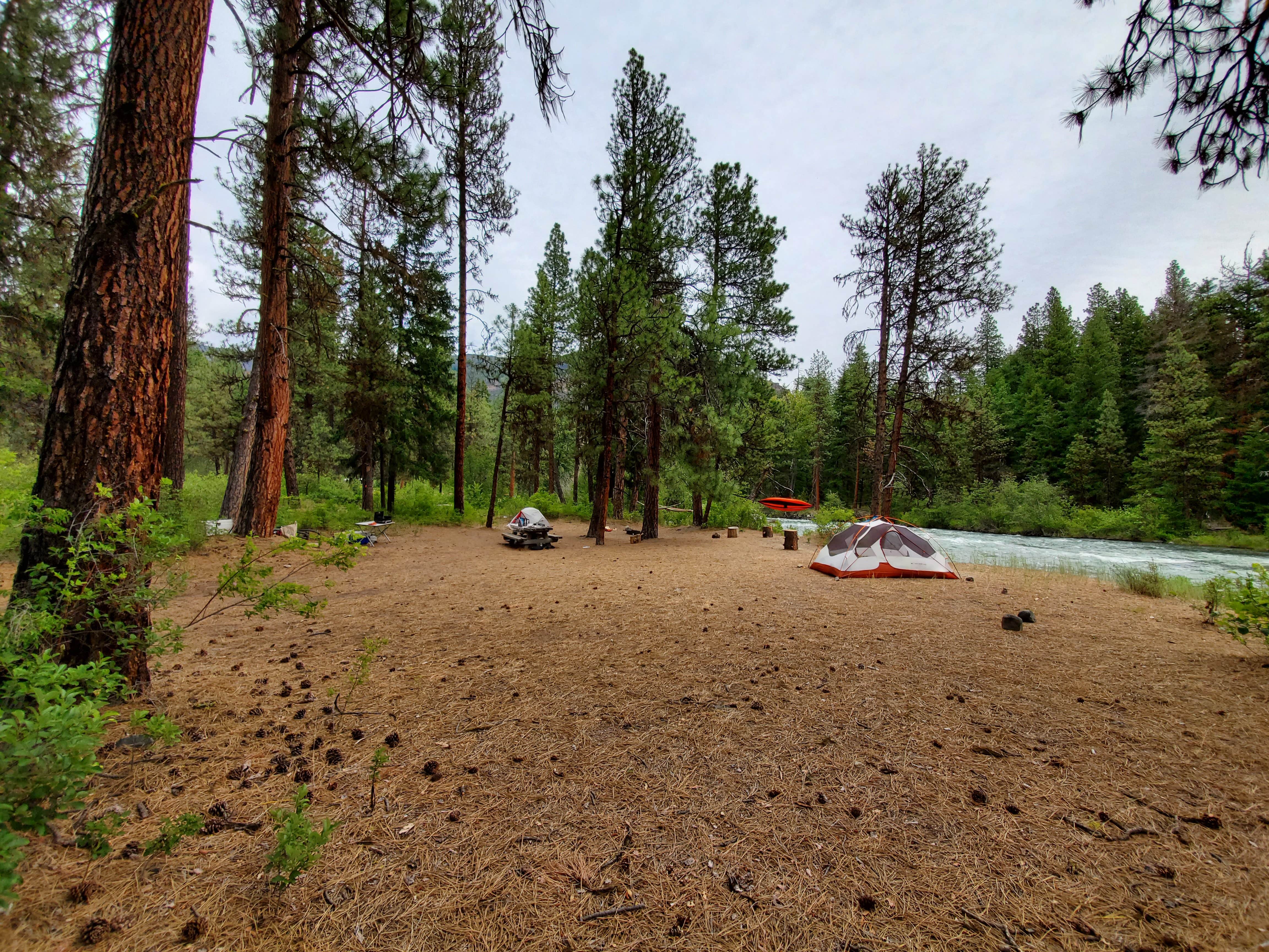 Camper submitted image from Hause Creek Campground - 4