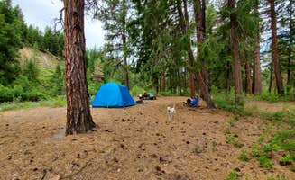 Stephanie S.'s photo at Hause Creek Campground near Yakima, WA