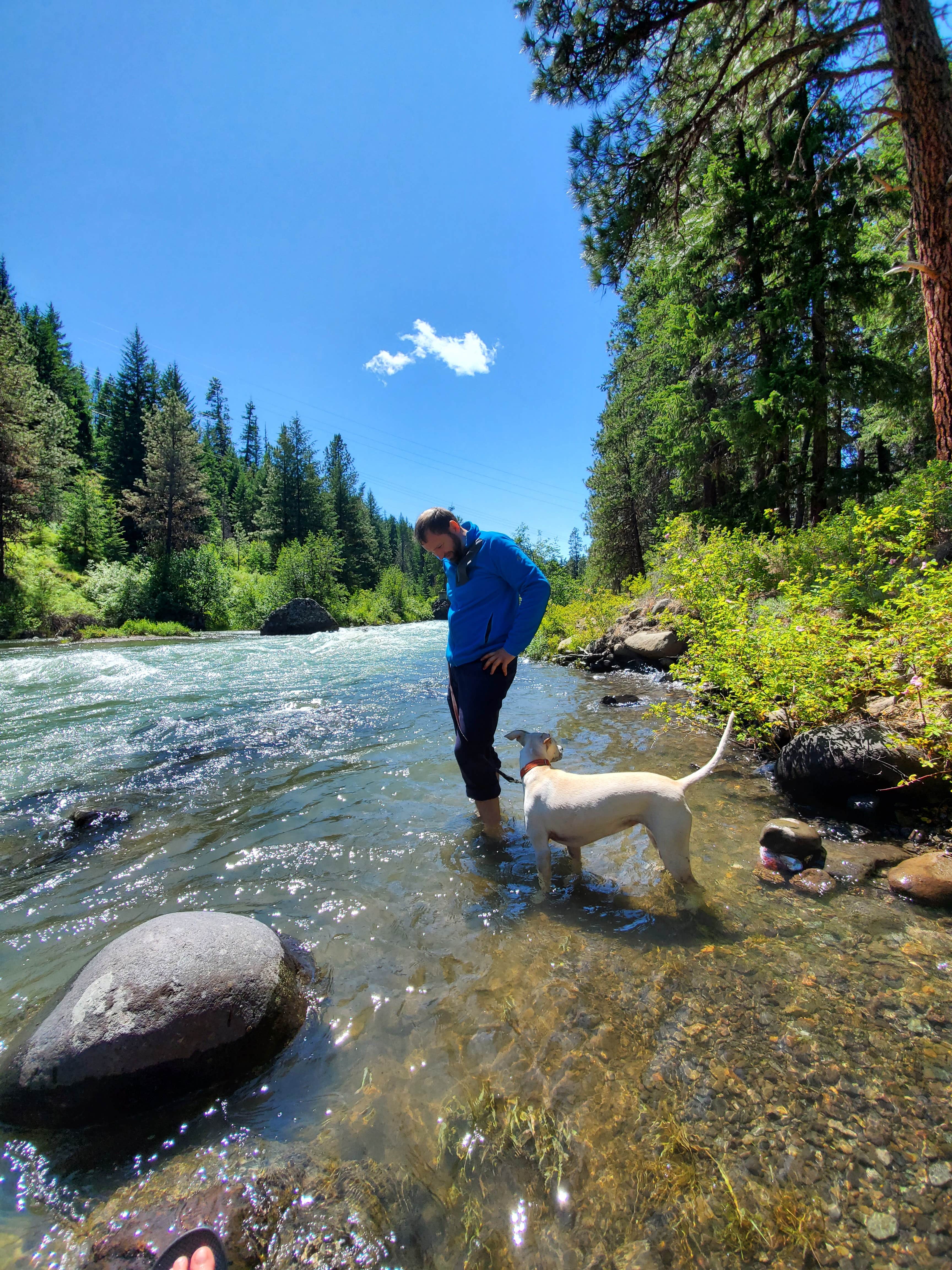 Stephanie S.'s photo of camping with pets at Hause Creek Campground near Yakima, WA