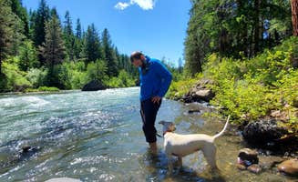Stephanie S.'s photo of camping with pets at Hause Creek Campground near Yakima, WA