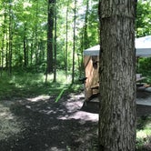 Review photo of Delaware State Park Campground by Shannon G., July 7, 2020