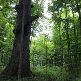 Review photo of Delaware State Park Campground by Shannon G., July 7, 2020