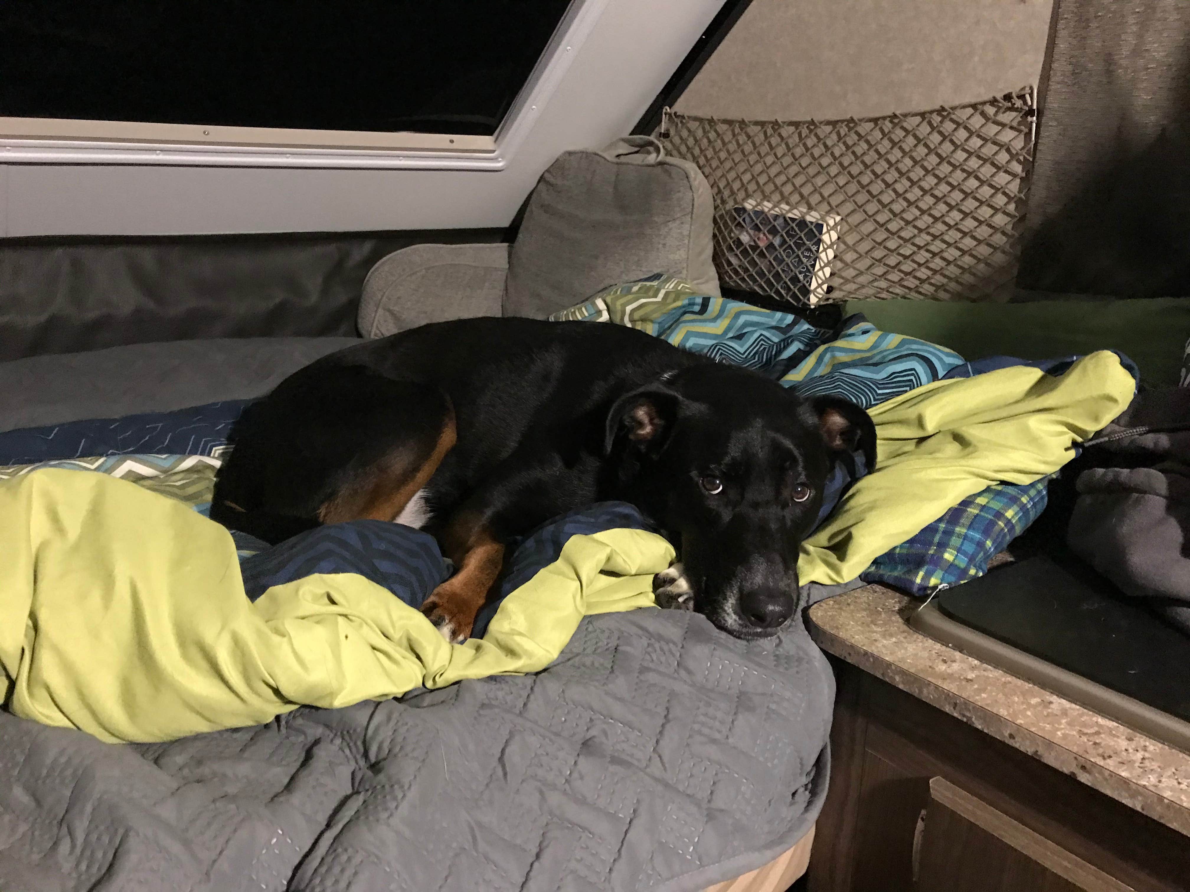 Shannon G.'s photo of glamping accommodations at Delaware State Park Campground near Alexandria, OH