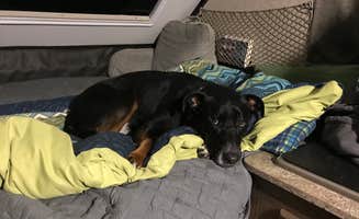 Shannon G.'s photo of glamping accommodations at Delaware State Park Campground near Clarence J. Brown Dam and Reservoir