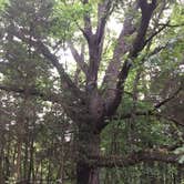 Review photo of Charlestown State Park Campground by Elizabeth S., December 19, 2017