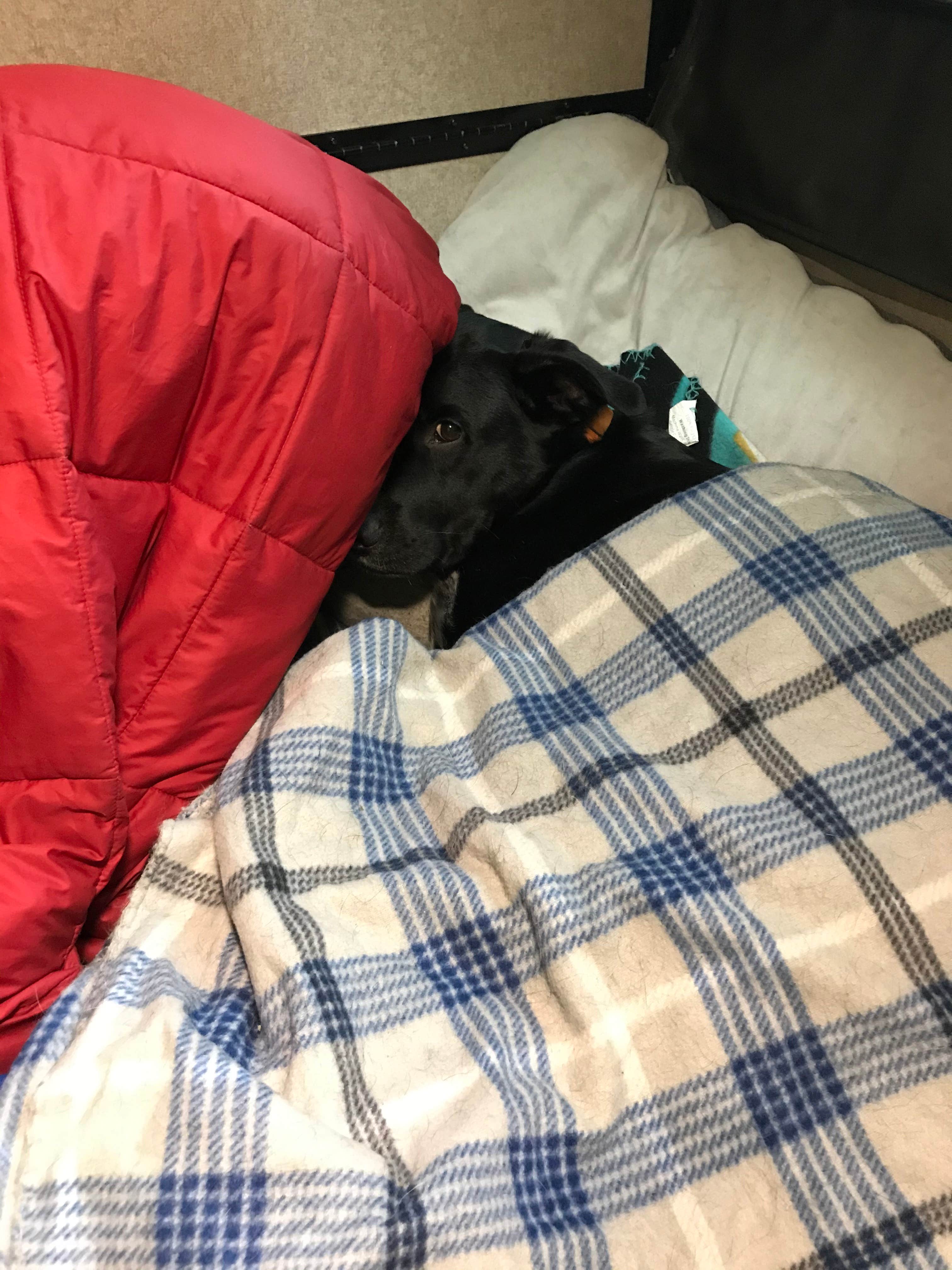 Shannon G.'s photo of glamping accommodations at Delaware State Park Campground near Johnstown, OH